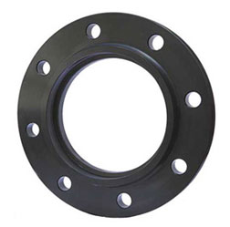 Loose/ Lap Joint Flange - Ảnh 8